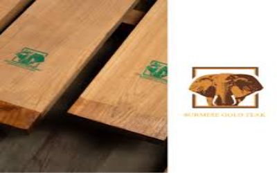 Discover Premium Burma Teak Wood in Chennai with Burmese Gold Teak