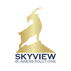 skyview Business Solutions's avatar