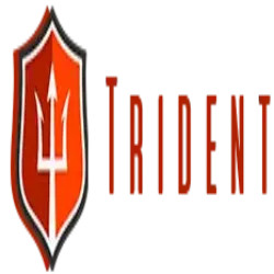 Trident Shipping and Trading PTE. LTD's avatar